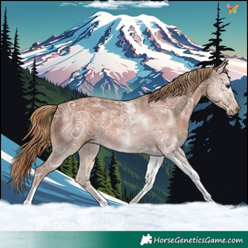 Horse Color:Chestnut Ice Tobiano 