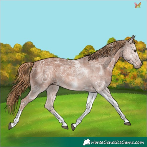 Horse Color:Chestnut Ice Tobiano