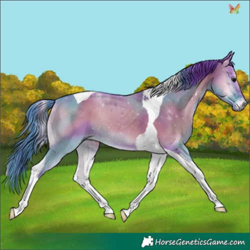 Horse Color:Watercolor Smoky Grullo Onyx Tobiano 