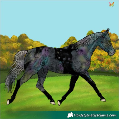 Horse Color:ERROR: UNKNOWN ANOMALY