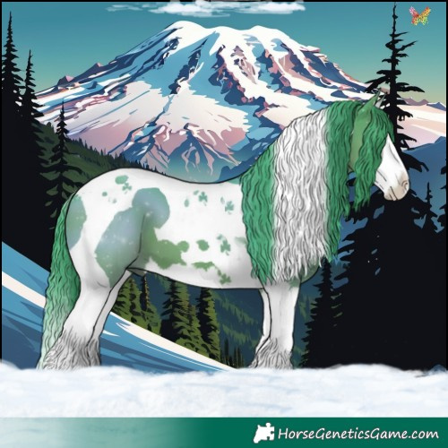 Horse Color:Watercolor Black Splash Tobiano 