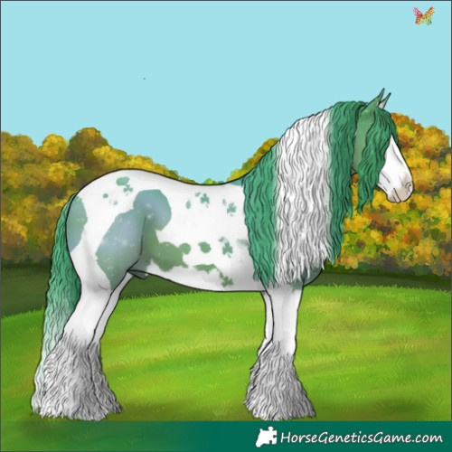 Horse Color:Watercolor Black Splash Tobiano