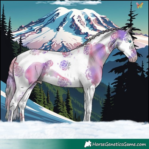 Horse Color:Nacre Watercolor Smoky Creme Splash Tobiano 