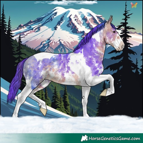 Horse Color:Watercolor Buckskin Sabino Tobiano 