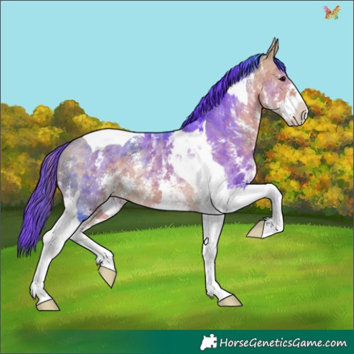 Horse Color:Watercolor Buckskin Sabino Tobiano 