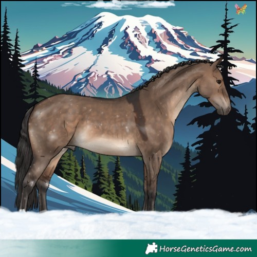 Horse Color:Brown Dun 