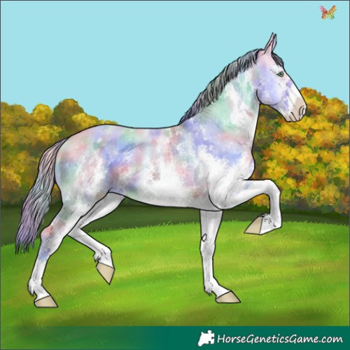 Horse Color:Nacre Watercolor White Spotted Perlino Onyx