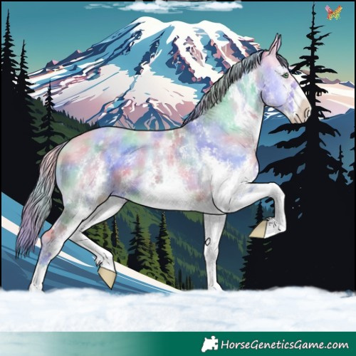 Horse Color:Nacre Watercolor White Spotted Perlino Onyx 