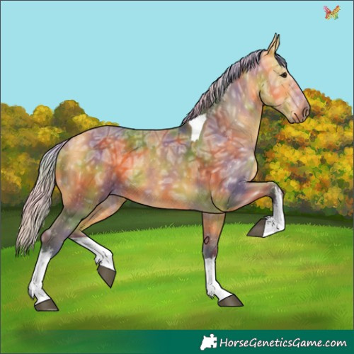 Horse Color:Nacre White Spotted Silver Buckskin Ice Tobiano 