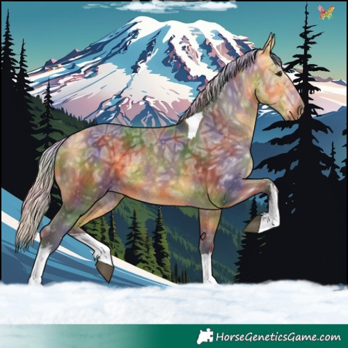 Horse Color:Nacre White Spotted Silver Buckskin Ice Tobiano 