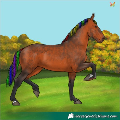 Horse Color:Painted Brown