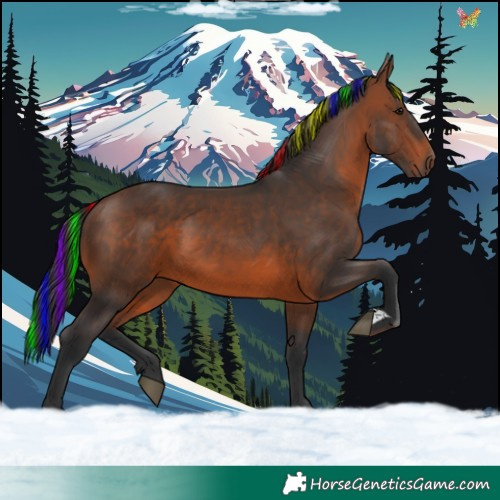 Horse Color:Painted Brown 