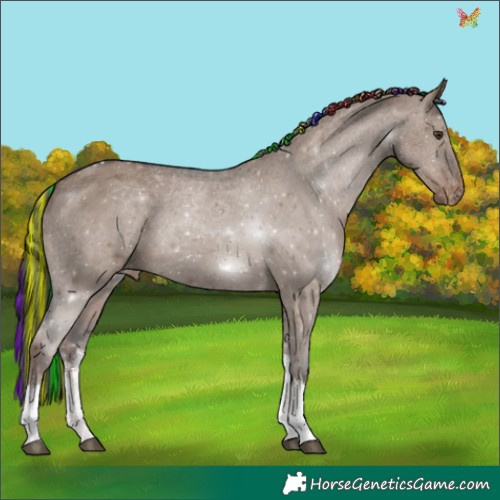 Horse Color:Painted White Spotted Liver Red Dun Tobiano Appaloosa 