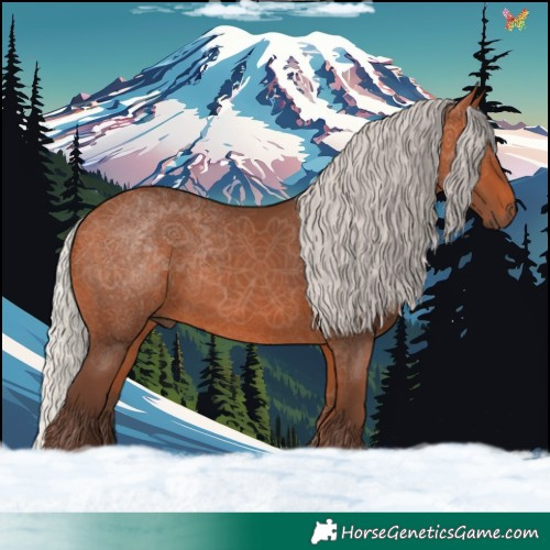 Horse Color:Silver Bay 