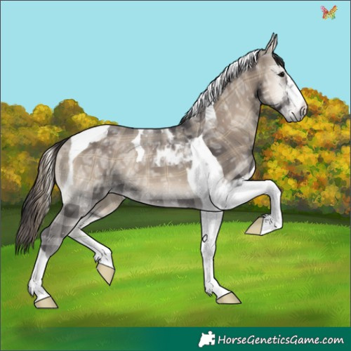 Horse Color:Plaid  Smoky Blue Onyx Ice Tobiano 