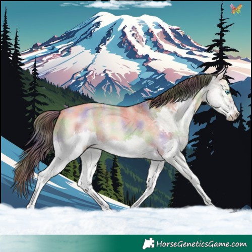 Horse Color:Nacre Buckskin Dun Splash 