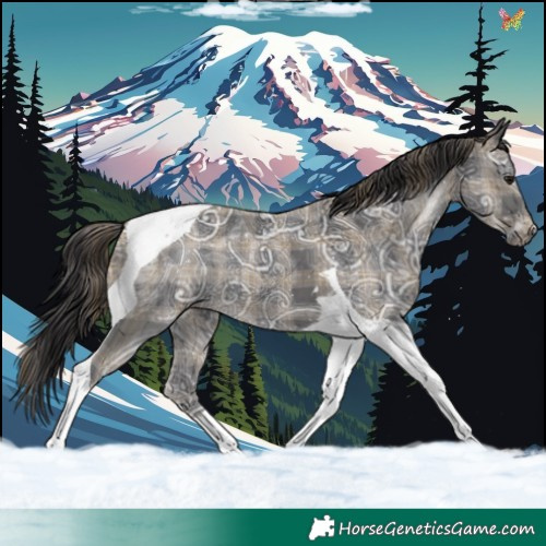 Horse Color:Plaid  Smoky Black Ice Tobiano 