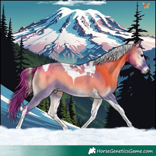 Horse Color:Watercolor Grullo Onyx Tobiano 