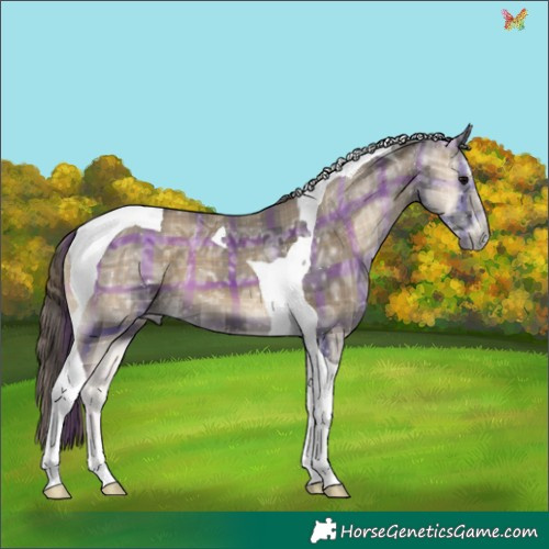 Horse Color:Plaid  Smoky Blue Onyx Ice Tobiano 