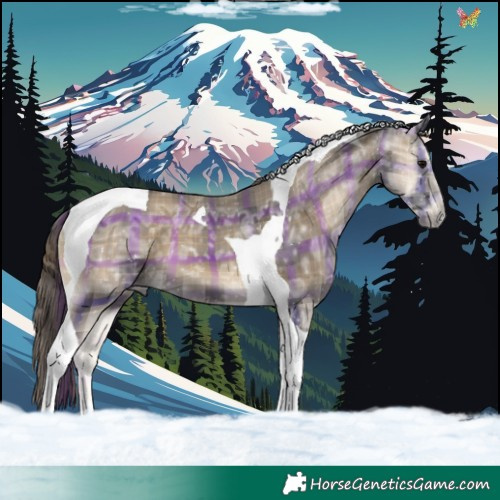Horse Color:Plaid  Smoky Blue Onyx Ice Tobiano 