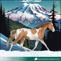 Horse Color:Chestnut Splash Tobiano