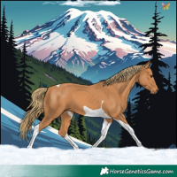 Horse Color:Chestnut Tobiano 