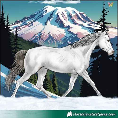 Horse Color:Buckskin Ice Sabino Rabicano 