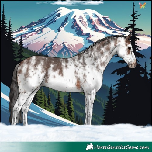 Horse Color:White Spotted Brown Frame