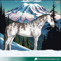 Horse Color:White Spotted Brown Frame 