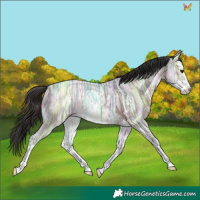 Horse Color:Brown Ice Sabino 