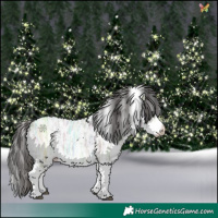 Horse Color:Liver Red Dun Ice Sabino Rabicano