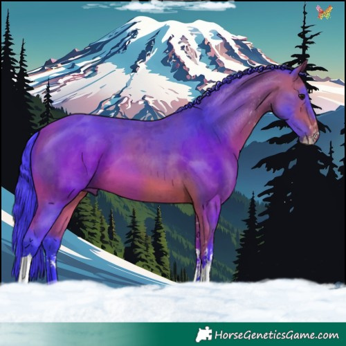 Horse Color:Watercolor Bay Sabino Tobiano 