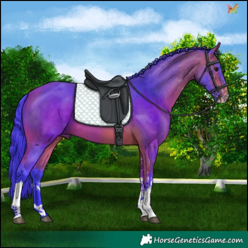 Horse Color:Watercolor Bay Sabino Tobiano 