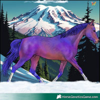 Horse Color:Watercolor Bay Sabino Tobiano 