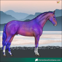Horse Color:Watercolor Bay Sabino Tobiano 