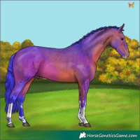 Horse Color:Watercolor Bay Sabino Tobiano