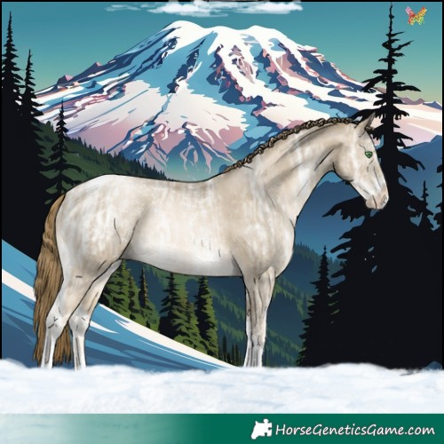 Horse Color:Smoky Black Ice Pearl Sabino Tobiano