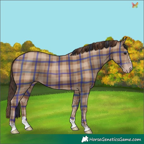 Horse Color:Plaid  Classic Champagne 