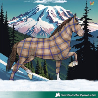 Horse Color:Plaid Classic Champagne