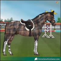 Horse Color:Plaid Brown Tobiano