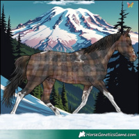 Horse Color:Plaid Brown Tobiano