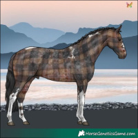 Horse Color:Plaid Brown Tobiano