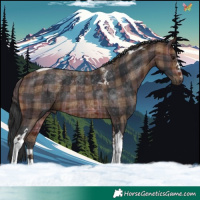 Horse Color:Plaid Brown Tobiano