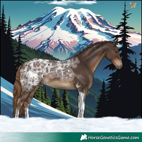 Horse Color:Liver Chestnut Ice Tobiano 