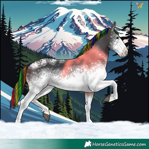 Horse Color:Painted White Spotted Brown Ice Tobiano 