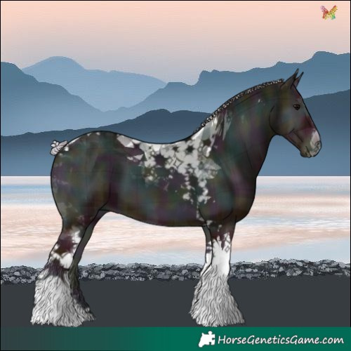 Horse Color:Plaid  Midnight Silver Blue Onyx Tobiano 