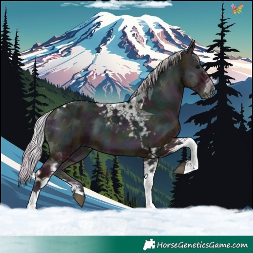 Horse Color:Plaid  Midnight Silver Blue Onyx Tobiano 