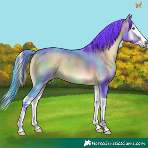Horse Color:Watercolor Chocolate Bay Onyx Splash 