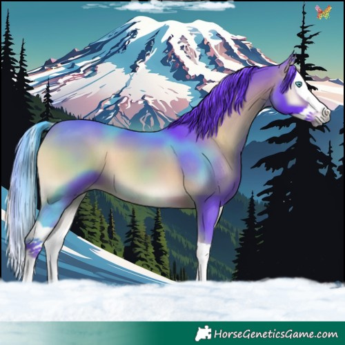 Horse Color:Watercolor Chocolate Bay Onyx Splash 
