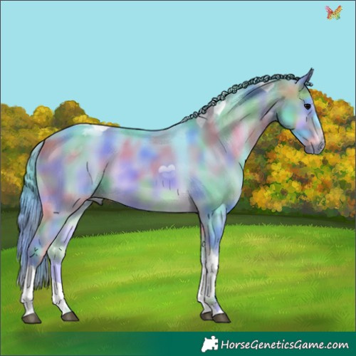 Horse Color:Nacre Watercolor Brown Onyx Tobiano